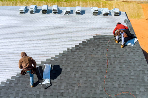 Best Roof Maintenance Services  in Ddanelle, AR
