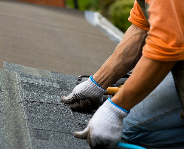 Best Residential Roofing Contractor  in Ddanelle, AR