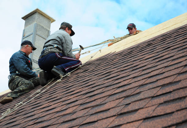 Best Shingle Roofing Installation  in Ddanelle, AR
